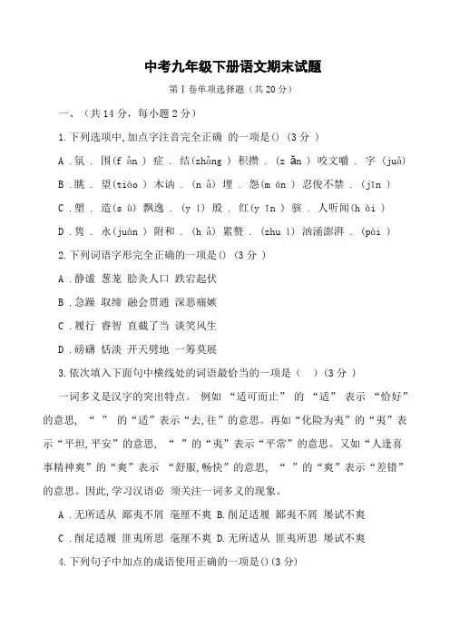 2019-2020学年中考九年级下册语文期末试题