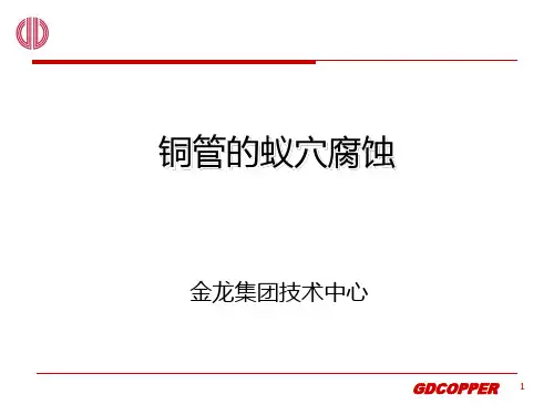 铜管的蚁穴腐蚀研究报告(金龙)