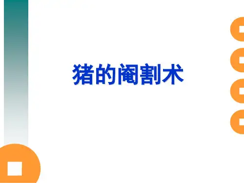 猪的阉割术