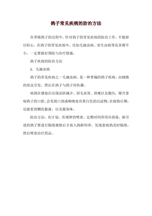鸽子常见疾病的防治方法