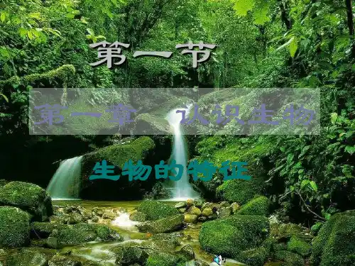 人教版初中生物七年级上册第一单元 第一章 第一节 生物的特征 课件(共32张PPT)