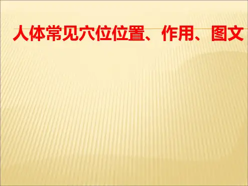 常见穴位最新PPT课件