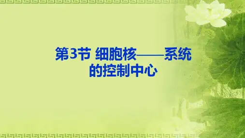 人教版必修1 生物：3.3 细胞核——系统的控制中心 课件(共20张PPT)