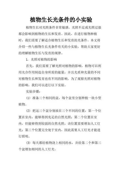 植物生长光条件的小实验
