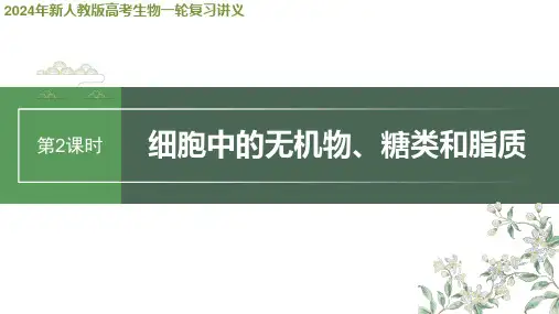 2024年新人教版高考生物一轮复习讲义  第1单元 第2课时 细胞中的无机物、糖类和脂质