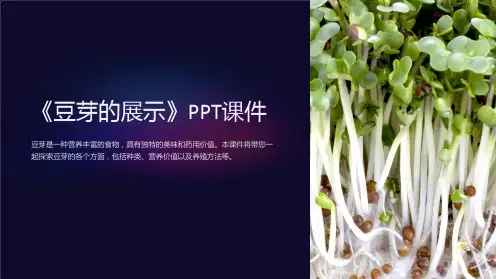 《豆芽的展示》课件