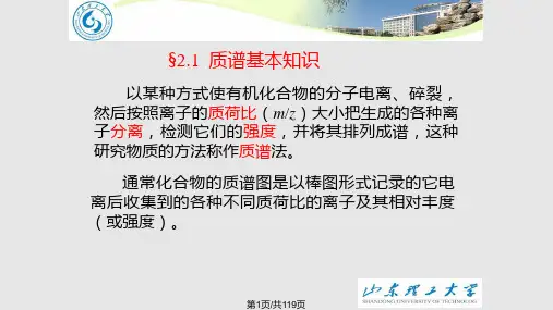 有机质谱PPT课件