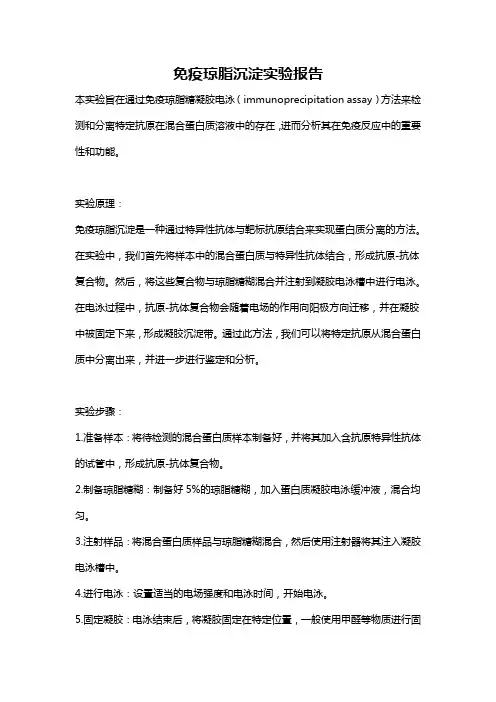 免疫琼脂沉淀实验报告