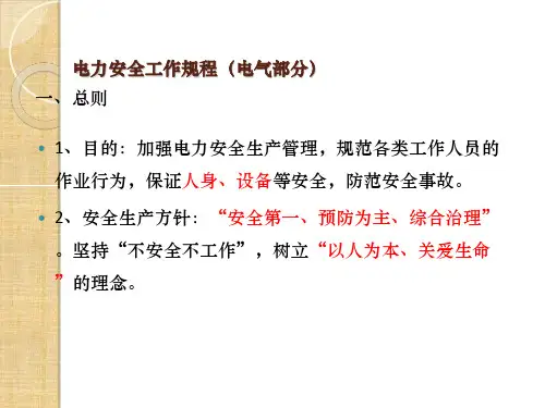 电力安规(电气部分)