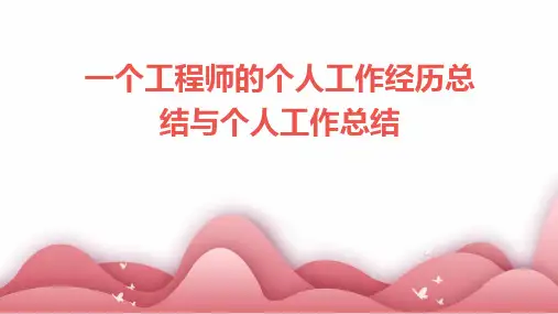 一个工程师的个人工作经历总结与个人工作总结PPT