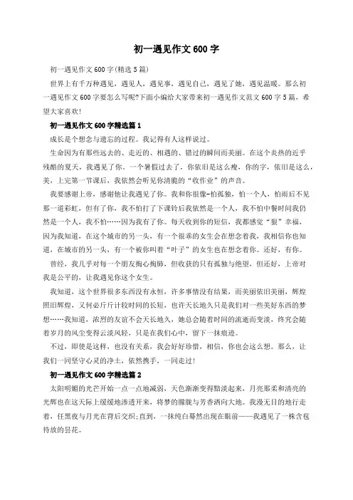 初一遇见作文600字