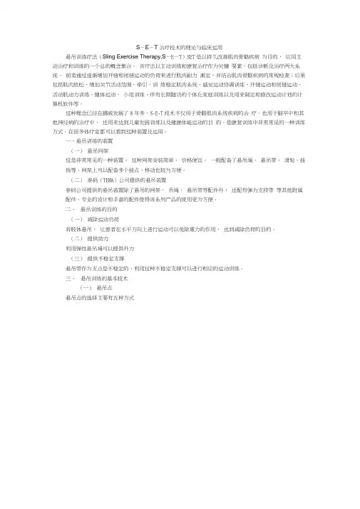 S-E-T治疗技术的理论与临床运用