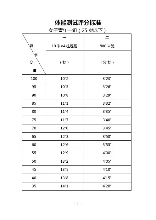体能测试评分标准