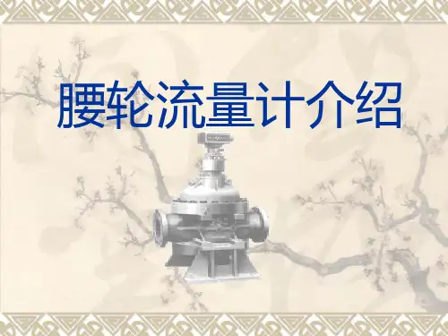 腰轮流量计.