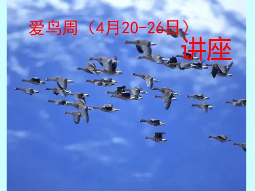 爱鸟讲座