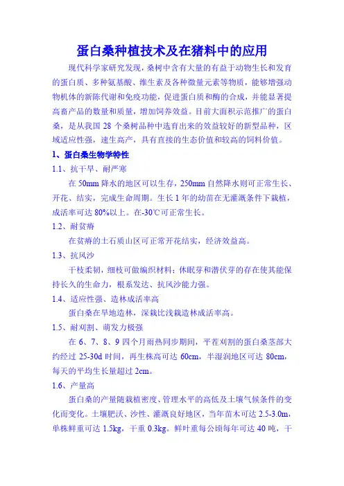 蛋白桑种植技术及在猪料中的应用