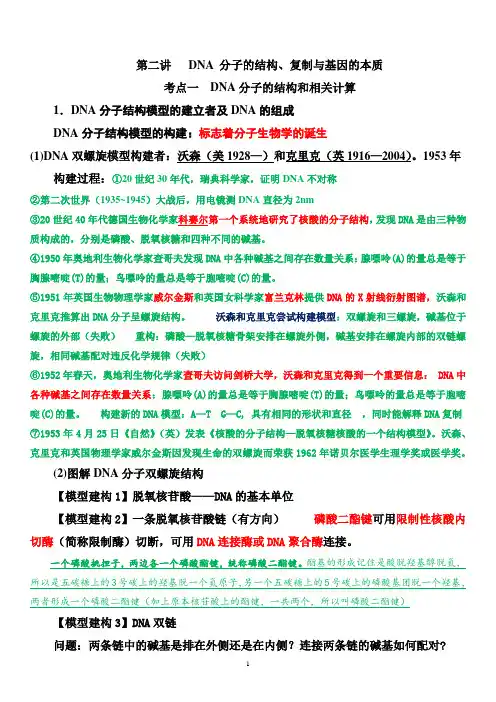 高三生物一轮复习讲义第二讲DNA 分子的结构课堂版