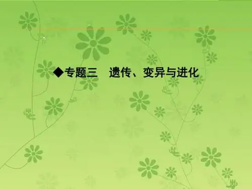 【导与练】2016届高三二轮复习生物课件 专题三遗传、变异与进化 小专题6遗传的分子基础