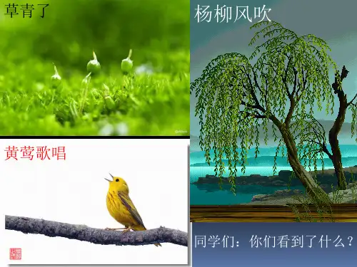 新部编版二年级语文下册第一课古诗二首《村居》《》PPT课件