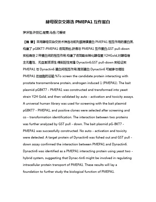 酵母双杂交筛选PMEPA1互作蛋白