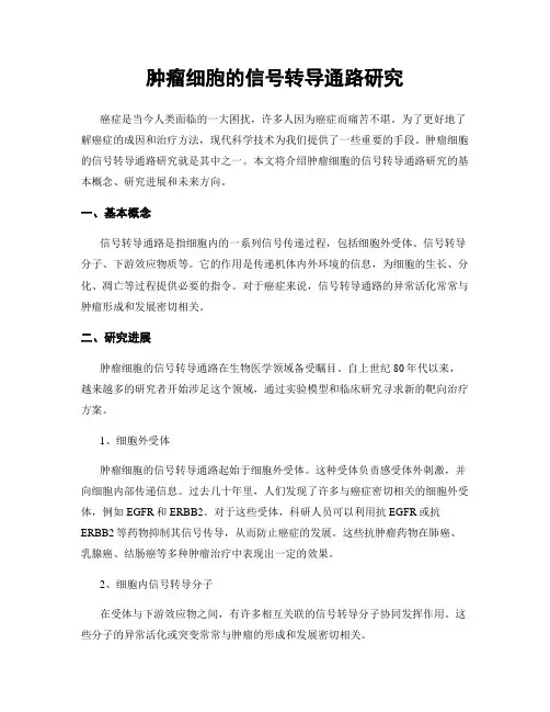 肿瘤细胞的信号转导通路研究