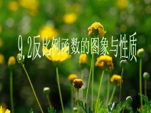 反比例函数的图象与性质精选教学PPT课件