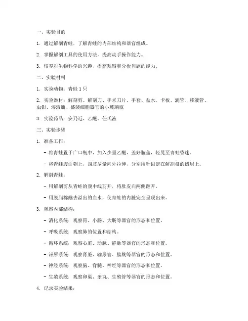 中专解剖青蛙实验报告
