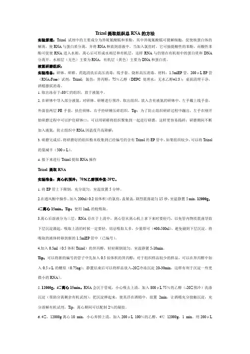 Trizol提取组织总RNA的方法