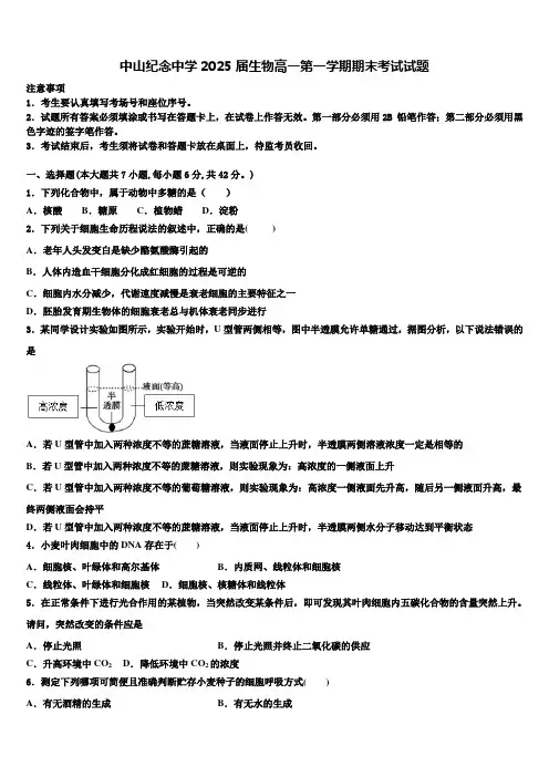 中山纪念中学2025届生物高一第一学期期末考试试题含解析