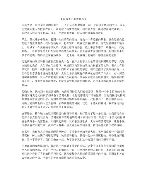 圣诞节美丽的夜晚作文