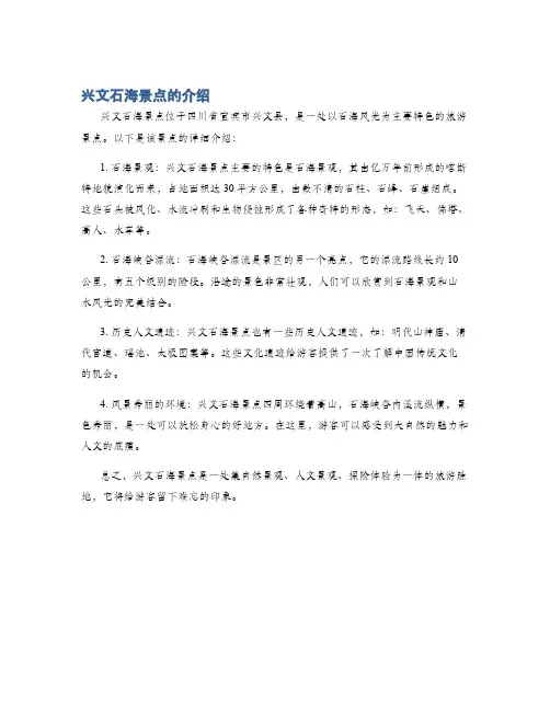 兴文石海景点的介绍