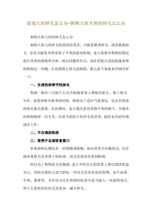 泰迪大块掉毛怎么办-狗狗大块大块的掉毛怎么办