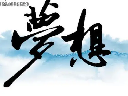 高三励志班会课件---全力以赴PPT