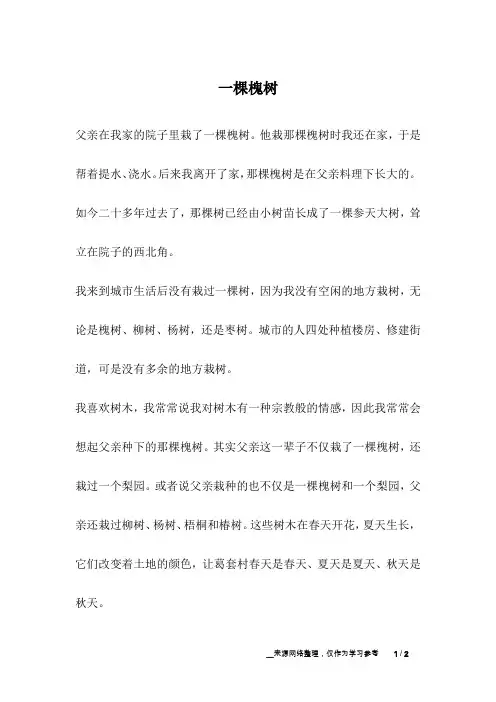 一棵槐树_爱情故事