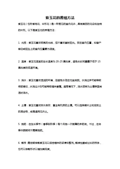紫玉花的养殖方法
