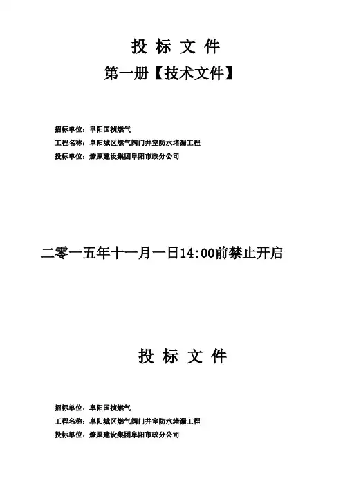 施工组织设计方案(阀井防水)