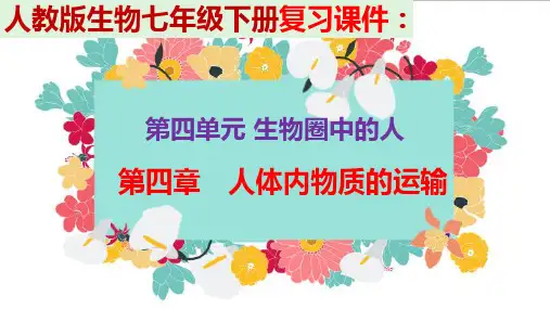 人教版生物七年级下册 复习课件：第四章   人体内物质的运输 
