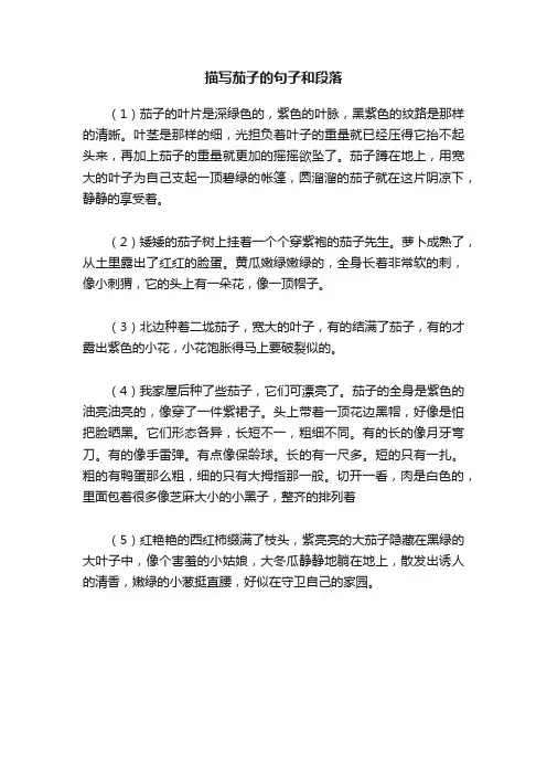 描写茄子的句子和段落
