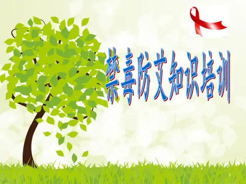 禁毒防艾知识培训PPT幻灯片课件