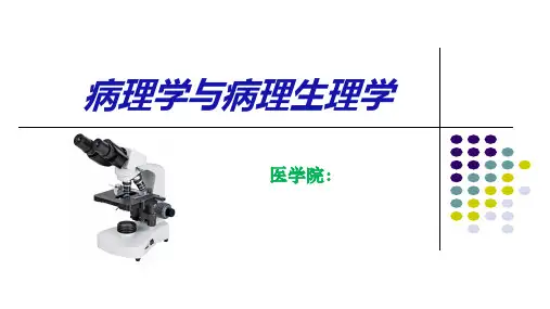 充血、淤血(病理学与病理生理学)说课课件(2024版)
