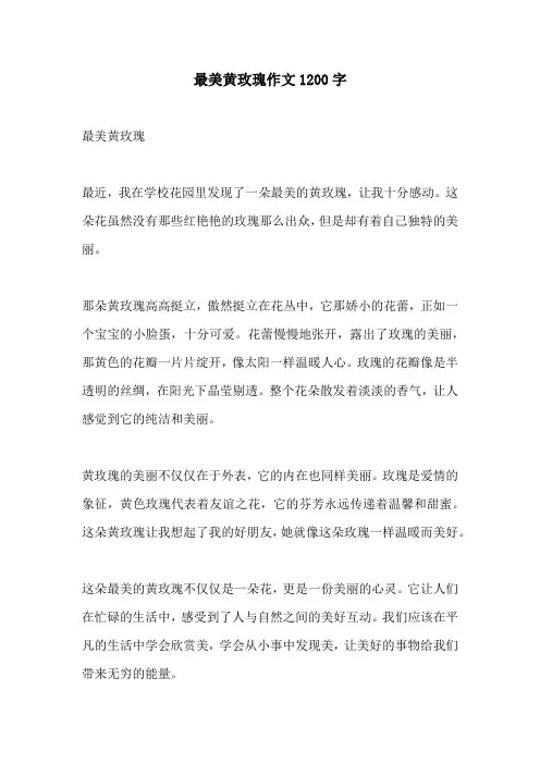 最美黄玫瑰作文1200字