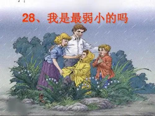 28《我是最弱小的吗》