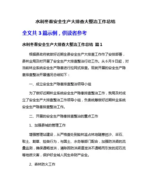 水利冬春安全生产大排查大整治工作总结