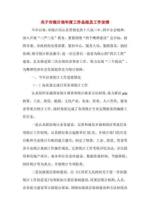 2019年关于市统计局年度工作总结及工作安排