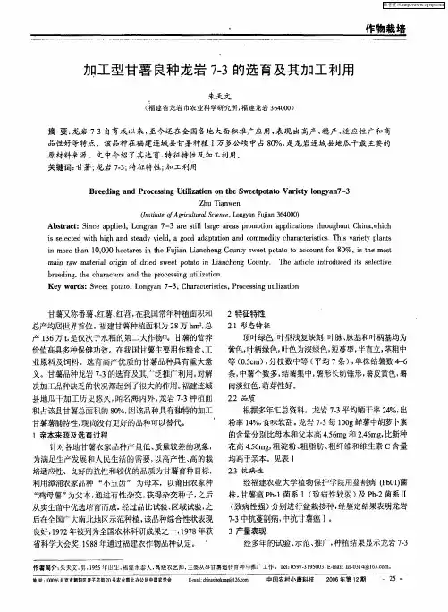 加工型甘薯良种龙岩7-3的选育及其加工利用