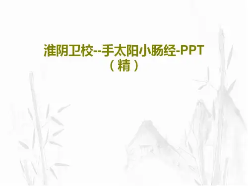 淮阴卫校--手太阳小肠经-PPT(精)共27页