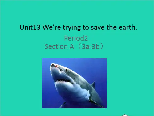 2021秋九年级英语全册 人教新目标版Unit 13 Section A (3a-3b)课件