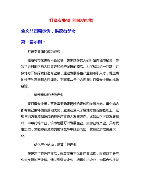 打造专业镇 的成功经验