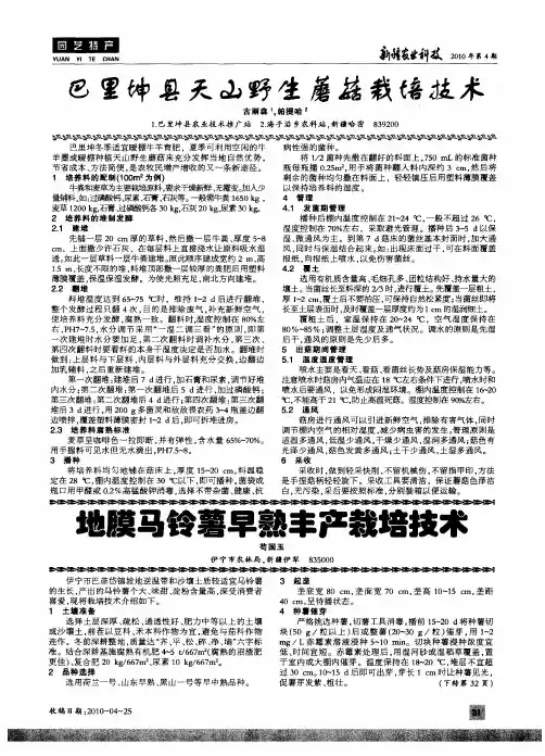 地膜马铃薯早熟丰产栽培技术