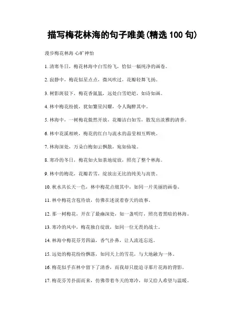 描写梅花林海的句子唯美(精选100句)